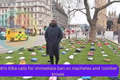 Idris Elba calls for immediate ban on machetes and ‘zombie’ knives